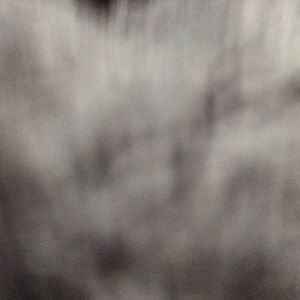 Meet your Posher, Jeni